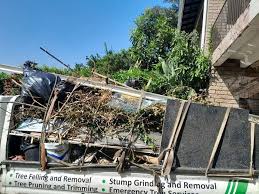Best Hoarding Cleanup  in New Paleste, IN